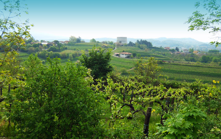 Collio 1