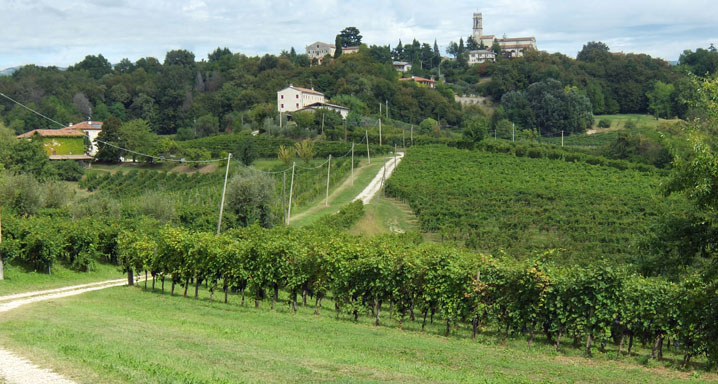 La Grappa 4