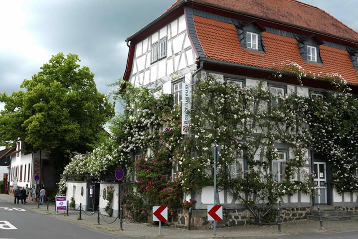 Rosenmuseum1