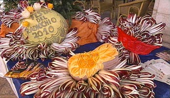Radicchio di Treviso