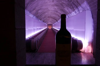 Maremma, Wein und k&uuml;hne Bauten2